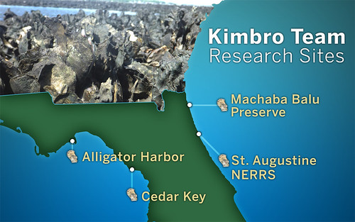 KImbro Team oyster reef sites