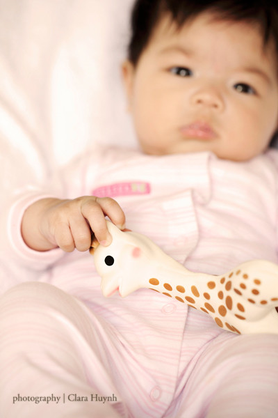 Photo A Day September - Day 16 - Sophie The Giraffe