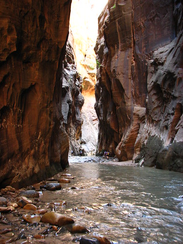 the virgin river in the zion narrows