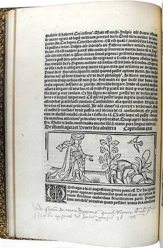 Page of text with woodcut illustration and initial from 'Dialogus creaturarum moralisatus'. Sp Coll S. M. 1986.