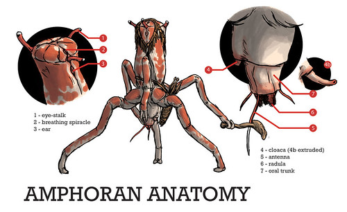 Alien Anatomy
