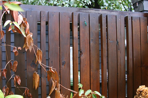 copper gate bad side fence