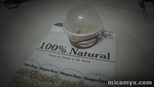 Haagen Dazs Caramel Biscuit - Take Home Happiness