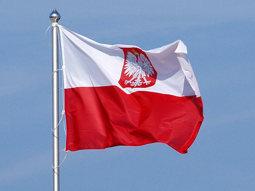 Polska flaga z białym orzełkiem
