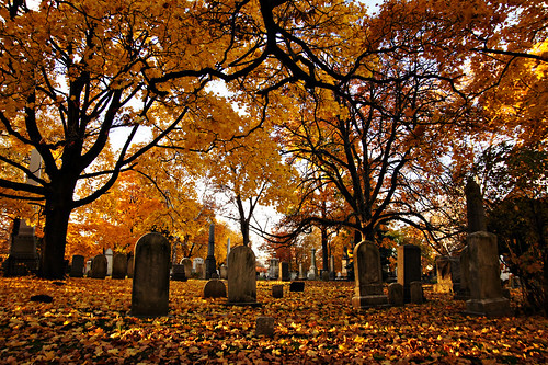 Autumn in Mount Pleasant Cemetery.