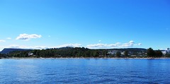 Summer boating on the Oslo Fjord #19