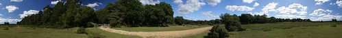 2010-08-30 New Forest panorama