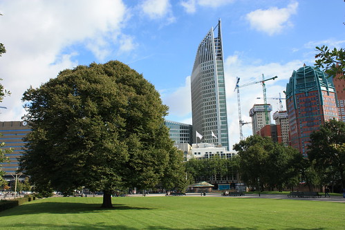 Monumentale bomem - Den Haag