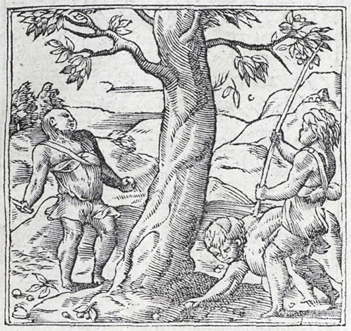 Nux (1550)