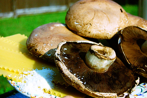 Portobello Mushroom Lasagna Bianco Ingredients