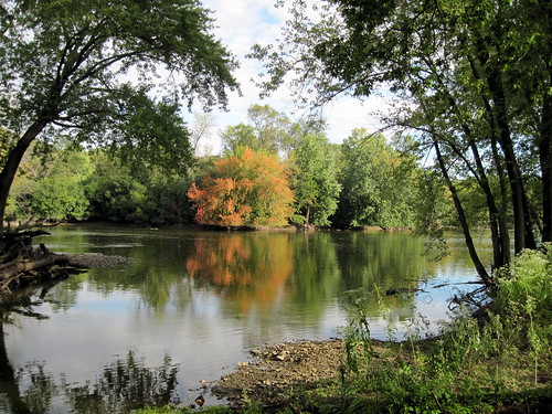 Fox River from Lippold Park 20100909