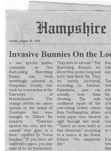 bunnies news
