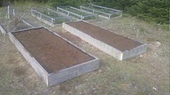 Beds 1 and 2