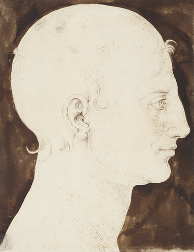 Constructed Head of a Man in Profile,  Albrecht Dürer, Pen and brown ink and dark brown wash