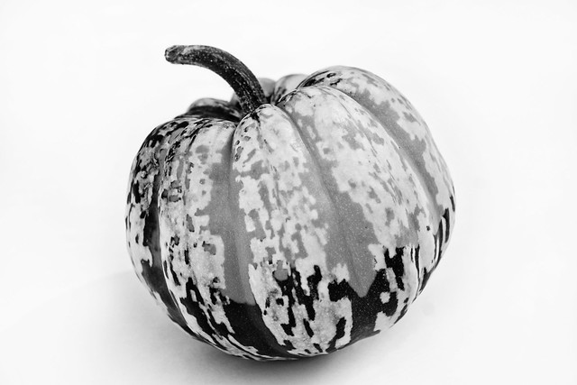 Spotted Squash