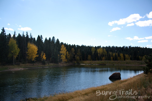 273-autumn pond