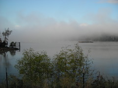 Foggy Ross Island lagoon