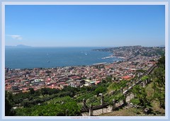Naples : View from Certosa San Martino : Posillipo / Mergellina / Capri