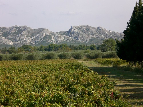 Provence winery