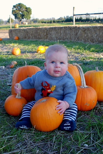 baby's first pumpkin patch