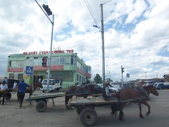 Travel to east Mongolia