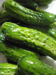 Cucumbers for Pickling