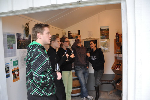 Wine tasting in a milk shed!