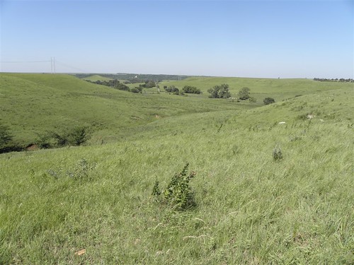 Over 3,500 acres of native grass was placed by Rod Moyer in a trust with the Kansas Land Trust through the Farm and Ranch Land Protection Program. This beautiful land will remain in agriculture forever.