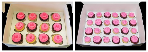 Tiara Zebra Print Cake Coordinating Cupcakes and Mini Cupcakes