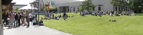 Lawn Lunch Panorama - Click for the full-size panorama