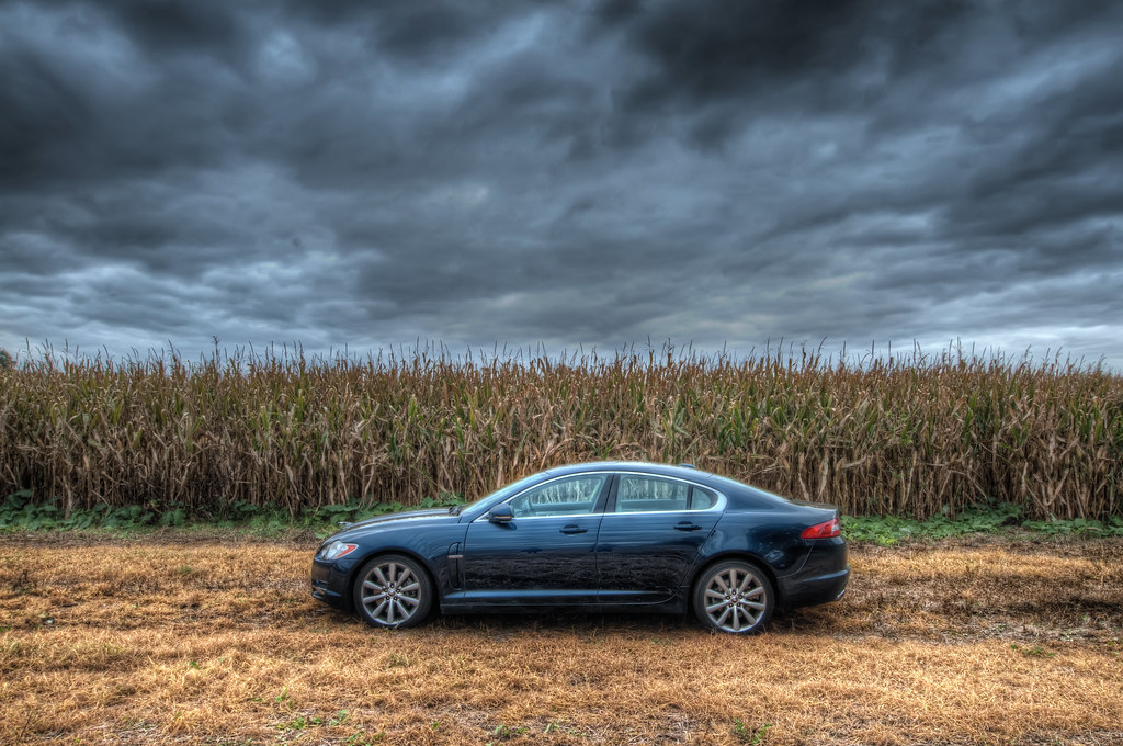 The Jag posing in the corn fields.