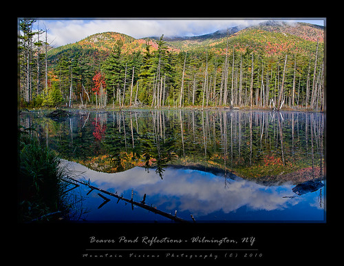 Beaver Pond Autumn Reflections - Wilmington, NY