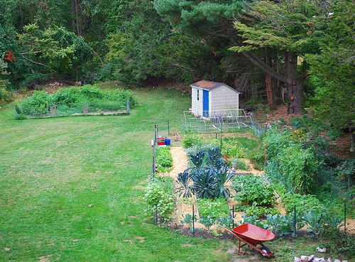 aerial view of back yard