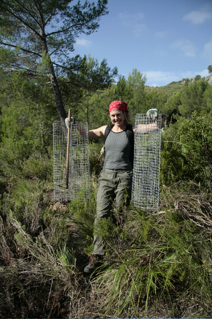 Palma Pictures plants 350 trees in Mallorca by 350org