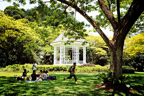 Afternoon at the gazebo, Singapore Botanic Gardens