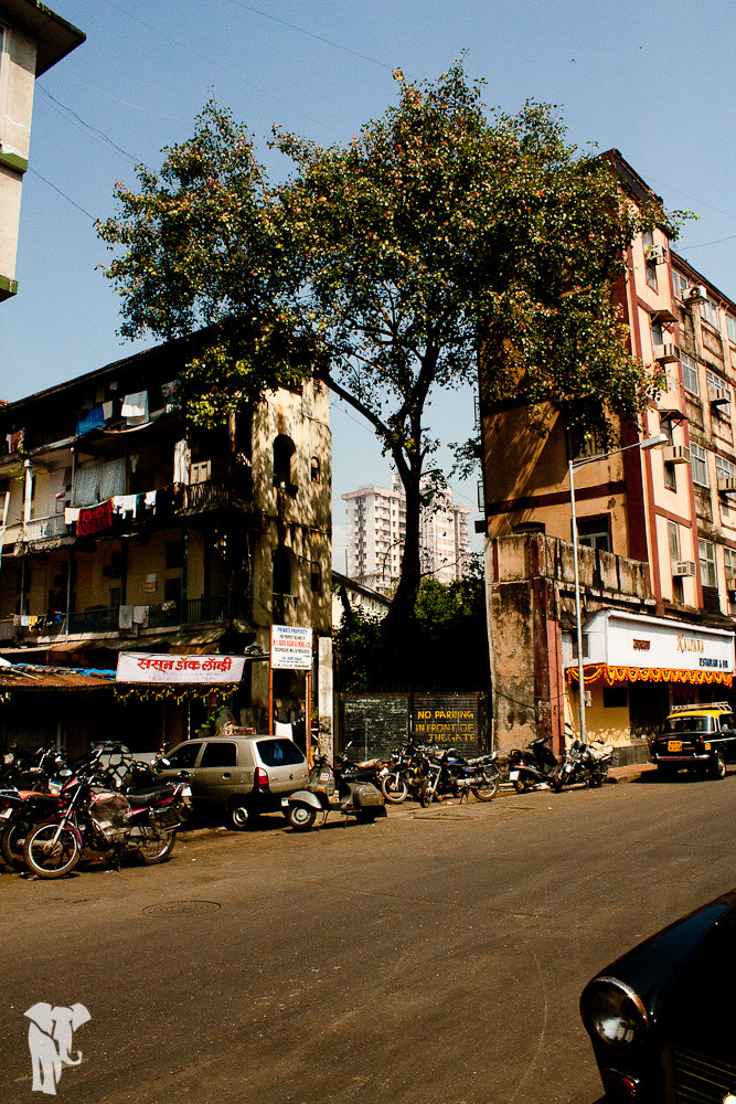Mumbai and Bundi-190.jpg