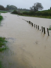 20100906s Flooding at Koputaroa