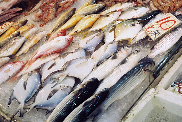 fish market in Hong Kong  Minolta Hi-matic 