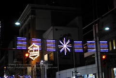 Yonge Street Lights