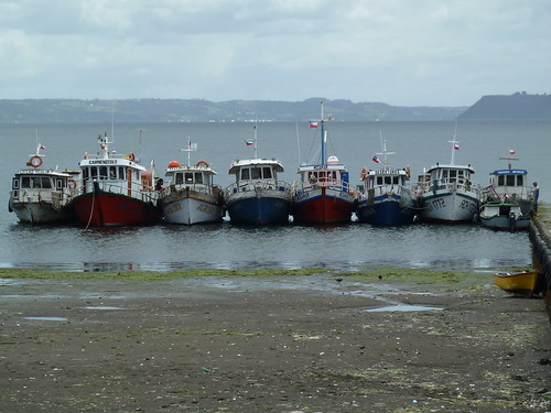 boats at the pier