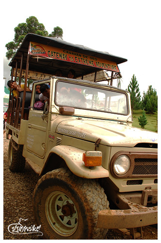 safari jeep