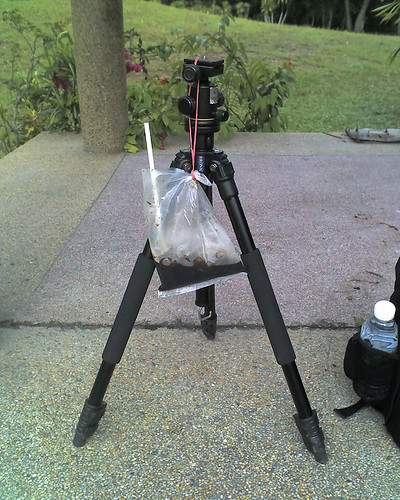 Things i bring for a macro outing