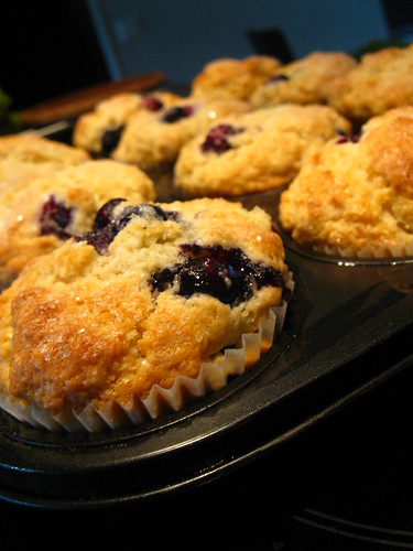 Buttermilk blueberry cupcakes