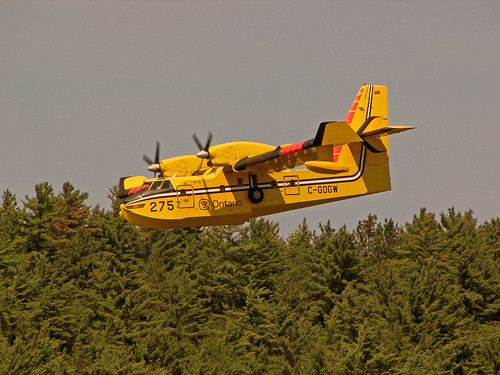 Day Seven: The Water Bomber on Mill Lake