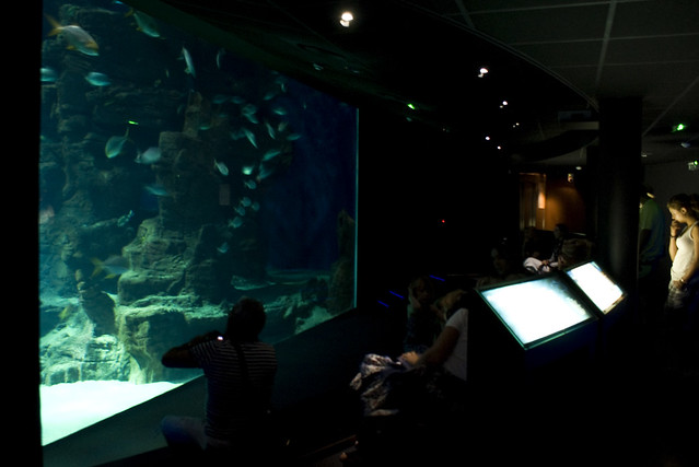 Mare Nostrum Aquarium