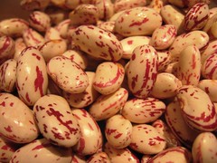 Roma beans shelled