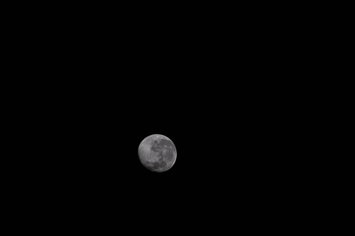 月を撮った。