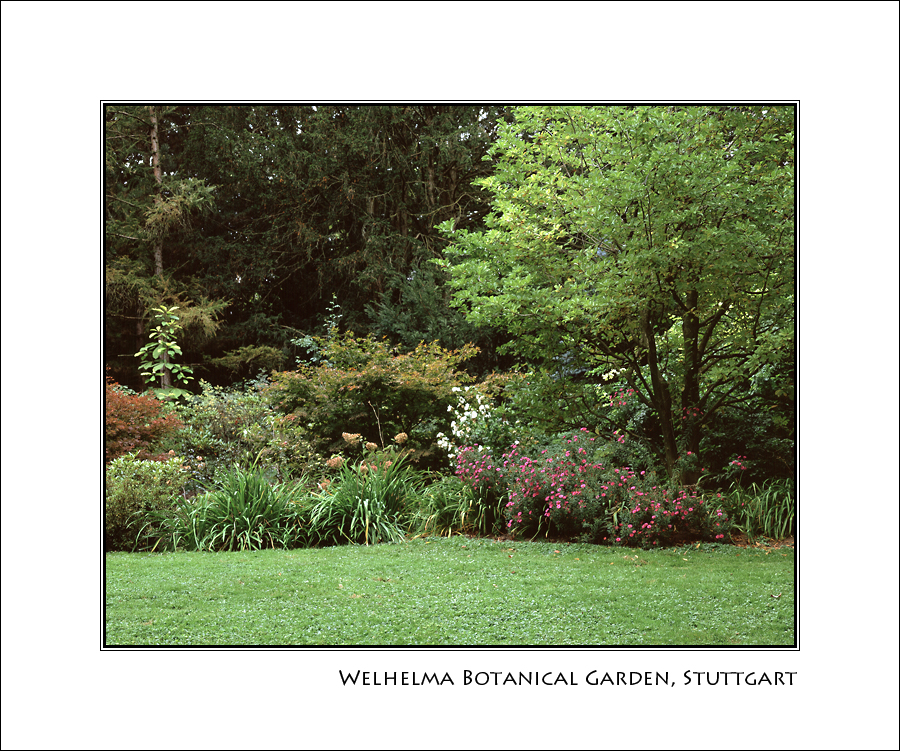 Welhelma Botanical Garden