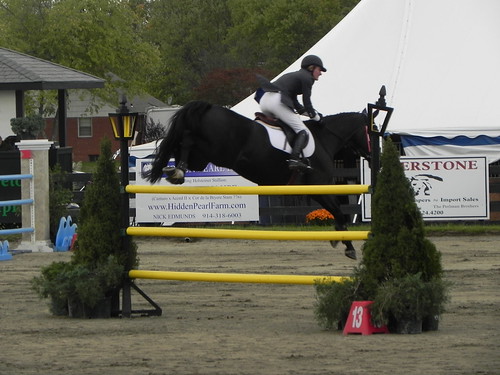 horses jumping over fences. can we pretend that horses jumping over fences are like shooting stars