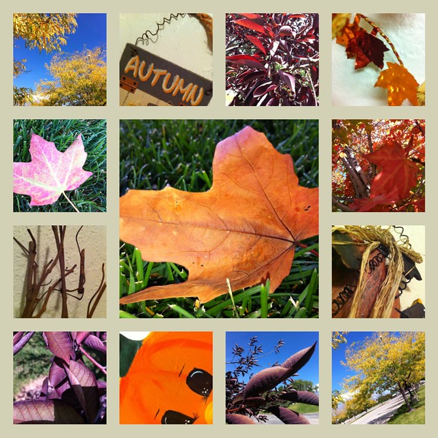 Fall4Collage